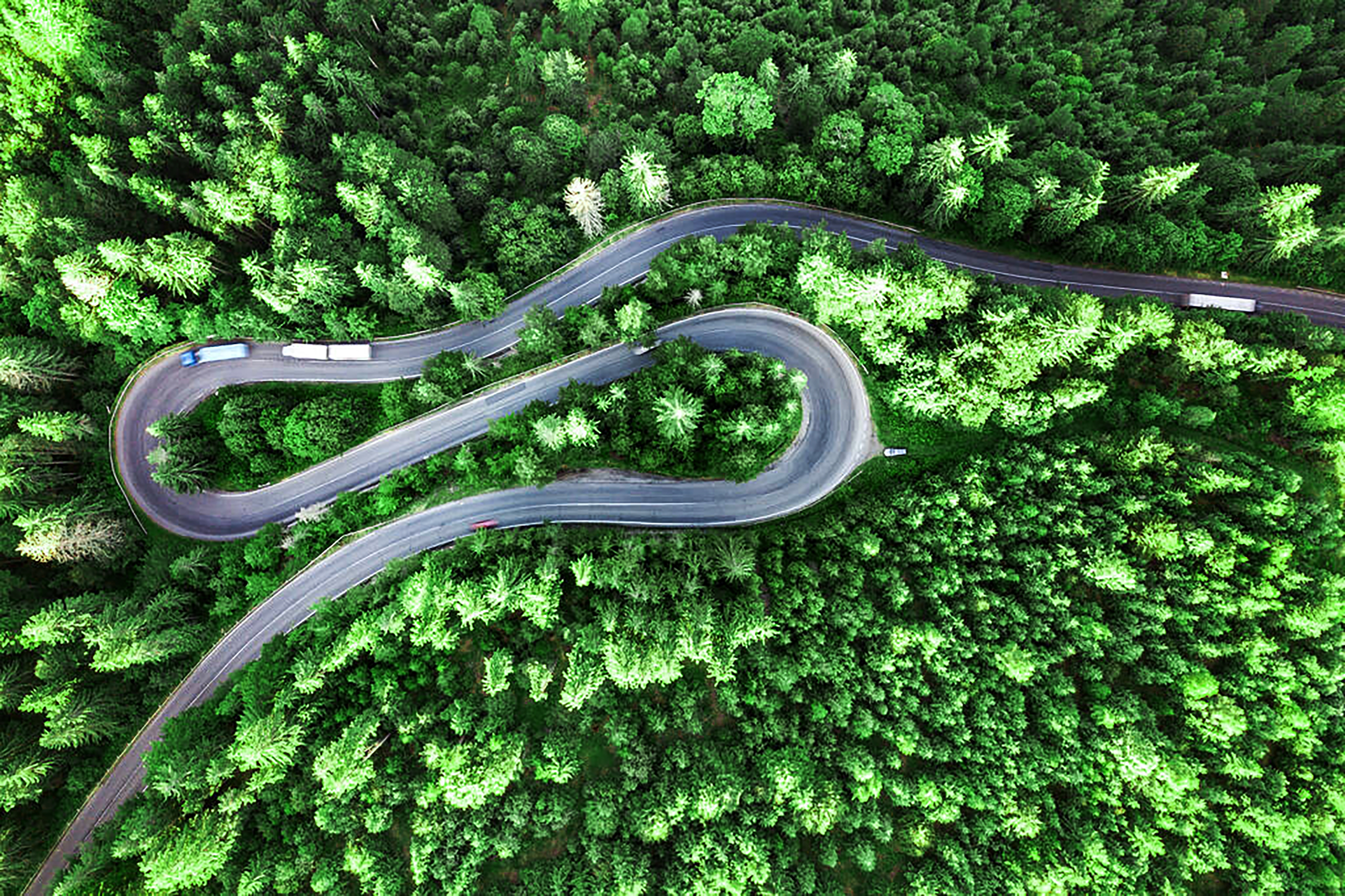 东升国际官网-追求康健,你我一起生长